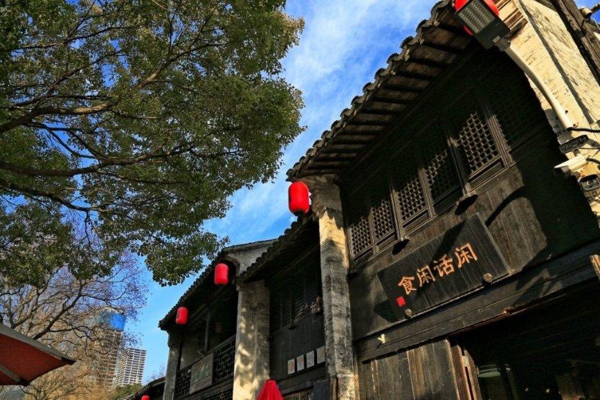 迎春盆栽大赛 提升园艺技能